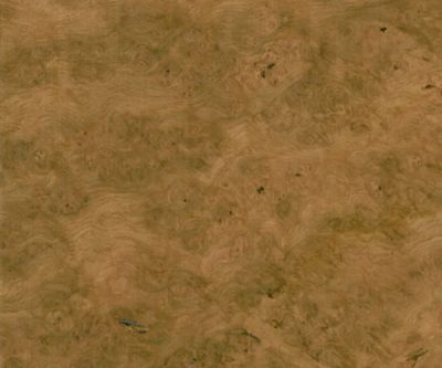 FSC-Burr-European-Oak_veneer_from_Shadbolt