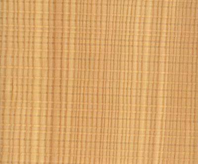 FSC® Straight Grain Sawn Larch veneer