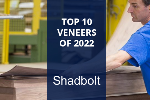 TOP-10-Veneers-of-2022